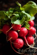 Day Two Radishes